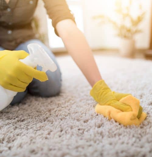 Rug Cleaning