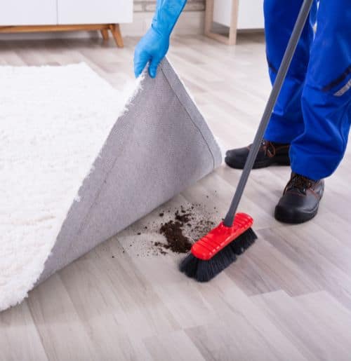 Rug Cleaning Process